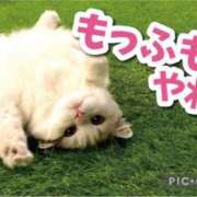 ヒメ日記 2025/05/09 23:00 投稿 あや 風鈴（ふうりん）