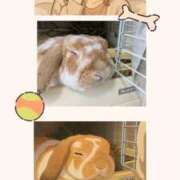 ヒメ日記 2025/05/29 22:12 投稿 あや 風鈴（ふうりん）