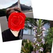 ヒメ日記 2025/06/20 19:55 投稿 あや 風鈴（ふうりん）