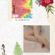 ヒメ日記 2025/07/11 20:22 投稿 あや 風鈴（ふうりん）