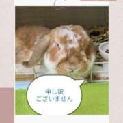 ヒメ日記 2025/10/14 11:41 投稿 あや 風鈴（ふうりん）