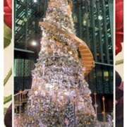 ヒメ日記 2025/12/23 20:42 投稿 あや 風鈴（ふうりん）