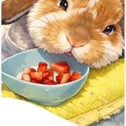 ヒメ日記 2026/01/21 21:56 投稿 あや 風鈴（ふうりん）