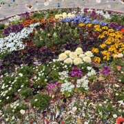 ヒメ日記 2026/02/24 13:04 投稿 あや 風鈴（ふうりん）