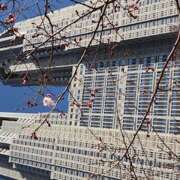 ヒメ日記 2026/03/07 13:12 投稿 あや 風鈴（ふうりん）