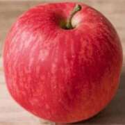 ヒメ日記 2025/05/01 03:15 投稿 さよ 宮崎ちゃんこ都城店