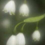 ヒメ日記 2025/05/01 21:55 投稿 さよ 宮崎ちゃんこ都城店