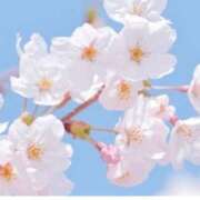 ヒメ日記 2025/05/03 03:15 投稿 さよ 宮崎ちゃんこ都城店