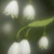 ヒメ日記 2025/05/06 01:15 投稿 さよ 宮崎ちゃんこ都城店