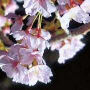 ヒメ日記 2025/05/08 16:25 投稿 さよ 宮崎ちゃんこ都城店