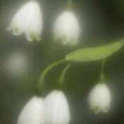 ヒメ日記 2025/05/11 19:27 投稿 さよ 宮崎ちゃんこ都城店