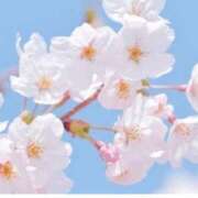 ヒメ日記 2025/05/15 14:25 投稿 さよ 宮崎ちゃんこ都城店