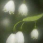 ヒメ日記 2025/05/24 10:35 投稿 さよ 宮崎ちゃんこ都城店