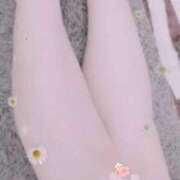 ヒメ日記 2025/06/06 03:05 投稿 さよ 宮崎ちゃんこ都城店