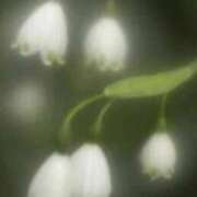 ヒメ日記 2025/06/10 14:55 投稿 さよ 宮崎ちゃんこ都城店