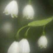 ヒメ日記 2025/06/17 10:45 投稿 さよ 宮崎ちゃんこ都城店