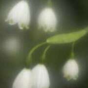 ヒメ日記 2025/06/28 14:25 投稿 さよ 宮崎ちゃんこ都城店