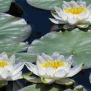 ヒメ日記 2025/10/07 02:25 投稿 さよ 宮崎ちゃんこ都城店