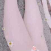 ヒメ日記 2026/01/16 17:16 投稿 さよ 宮崎ちゃんこ都城店