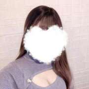 ヒメ日記 2025/05/03 11:03 投稿 もこ ホワイトベル