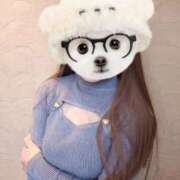 ヒメ日記 2025/05/03 11:43 投稿 もこ ホワイトベル