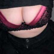 ヒメ日記 2025/05/04 08:02 投稿 もこ ホワイトベル