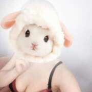 ヒメ日記 2025/05/18 10:52 投稿 もこ ホワイトベル