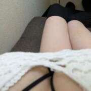 ヒメ日記 2025/05/20 11:03 投稿 もこ ホワイトベル