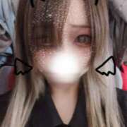 ヒメ日記 2025/07/31 12:04 投稿 もこ ホワイトベル