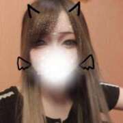 ヒメ日記 2025/08/03 10:42 投稿 もこ ホワイトベル