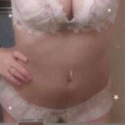 ヒメ日記 2025/08/24 11:02 投稿 もこ ホワイトベル