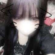 ヒメ日記 2025/09/28 06:12 投稿 もこ ホワイトベル