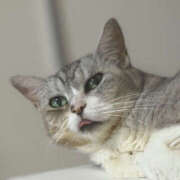 ヒメ日記 2025/10/21 14:05 投稿 みなも ぺろぺろベロベロ専科 ぺろんちょ