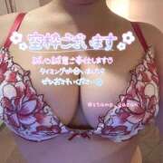 ヒメ日記 2025/11/08 08:27 投稿 みなも ぺろぺろベロベロ専科 ぺろんちょ