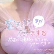 ヒメ日記 2025/11/14 14:05 投稿 みなも ぺろぺろベロベロ専科 ぺろんちょ