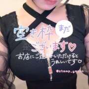 ヒメ日記 2025/11/15 11:55 投稿 みなも ぺろぺろベロベロ専科 ぺろんちょ