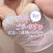 ヒメ日記 2025/11/19 08:25 投稿 みなも ぺろぺろベロベロ専科 ぺろんちょ