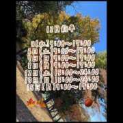 ヒメ日記 2025/11/27 23:05 投稿 みなも ぺろぺろベロベロ専科 ぺろんちょ