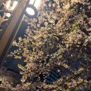 ヒメ日記 2026/04/05 09:10 投稿 みなも ぺろぺろベロベロ専科 ぺろんちょ