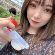 ヒメ日記 2026/04/07 07:15 投稿 みなも ぺろぺろベロベロ専科 ぺろんちょ