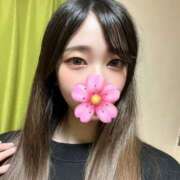 ヒメ日記 2025/04/29 05:04 投稿 吉岡　かすみ つくば風俗エキスプレス   ヌキ坂46