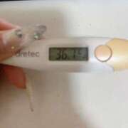 ヒメ日記 2025/09/16 15:14 投稿 吉岡　かすみ つくば風俗エキスプレス   ヌキ坂46