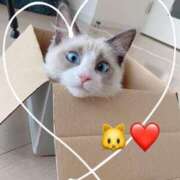 ヒメ日記 2025/06/22 19:59 投稿 しゅうか 錦糸町人妻花壇