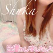 ヒメ日記 2025/07/02 15:23 投稿 しゅうか 錦糸町人妻花壇