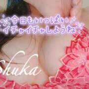 ヒメ日記 2025/07/11 18:03 投稿 しゅうか 錦糸町人妻花壇