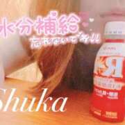 ヒメ日記 2025/07/29 14:00 投稿 しゅうか 錦糸町人妻花壇