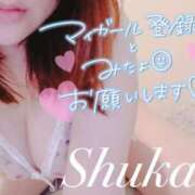 ヒメ日記 2025/07/30 12:00 投稿 しゅうか 錦糸町人妻花壇