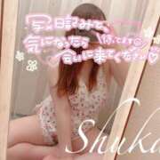 ヒメ日記 2025/08/03 10:05 投稿 しゅうか 錦糸町人妻花壇