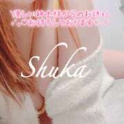 ヒメ日記 2025/08/09 11:06 投稿 しゅうか 錦糸町人妻花壇