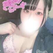 ヒメ日記 2026/05/18 12:28 投稿 みい 白いぽっちゃりさん仙台店